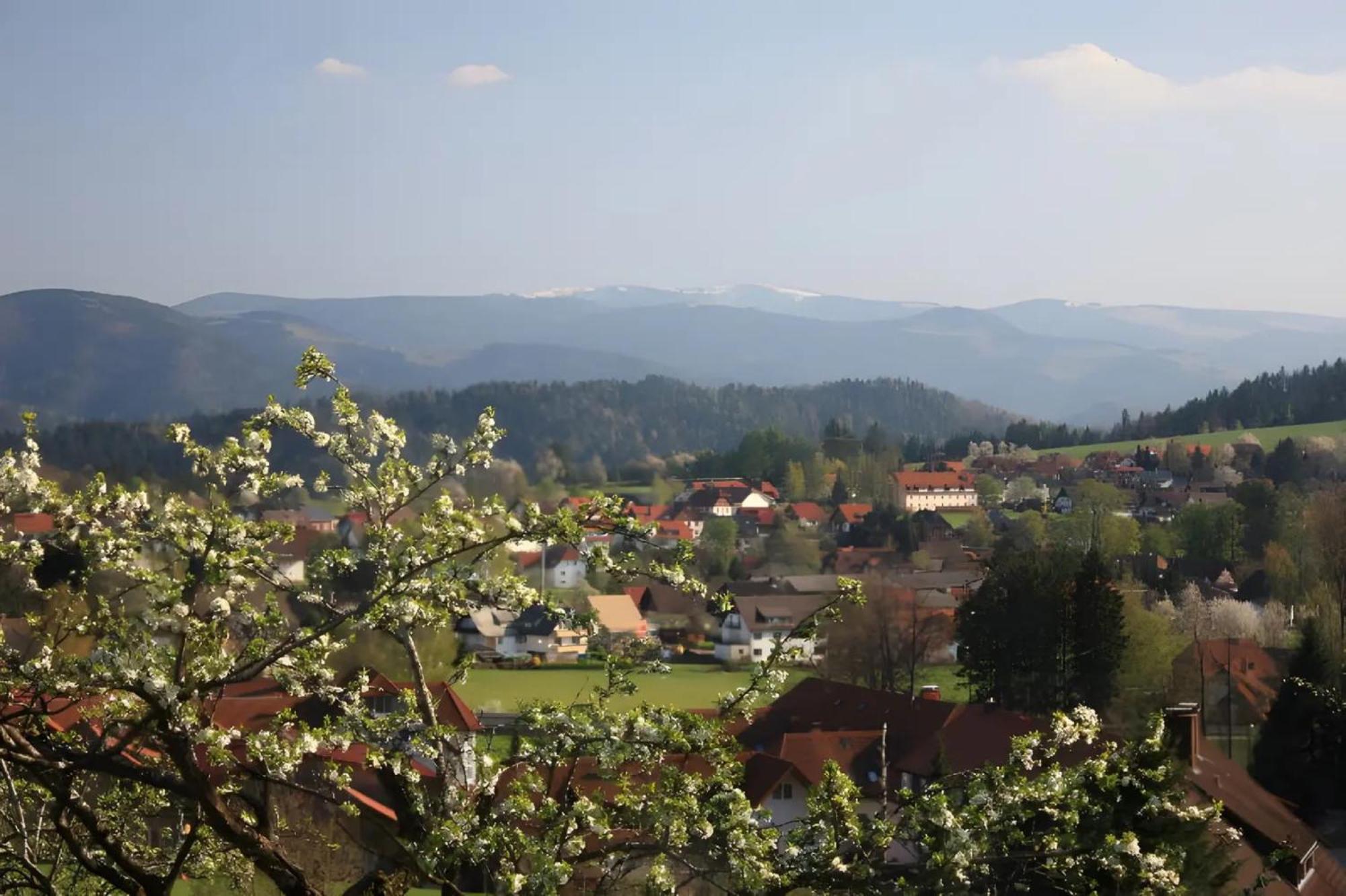 Апартаменты Ferien Auf Dem Steingrubenhof Санкт-Петер Экстерьер фото